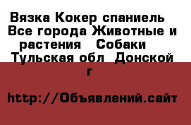 Вязка Кокер спаниель - Все города Животные и растения » Собаки   . Тульская обл.,Донской г.